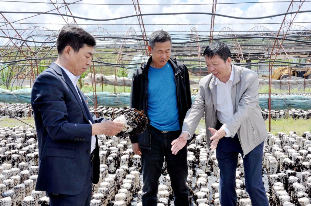 喜报：我校张彦龙团队荣获第一届黑龙江省专利银奖