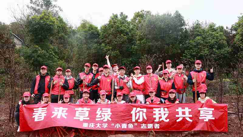 重庆大学志愿者开展植树活动