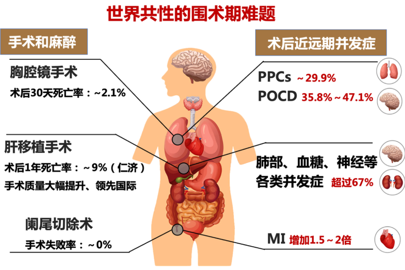 图片2_副本.png