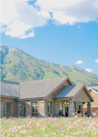 干部培训课程内容有哪些（干部培训课程分类）