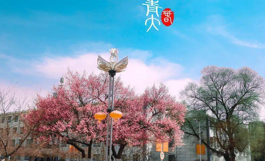 青海师范大学校本课程研发培训