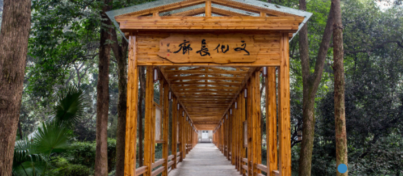 沙坪坝区区党校干部培训有哪些项目