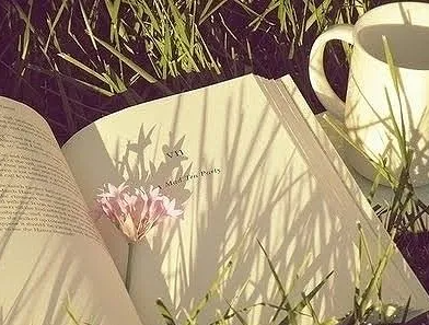 干部培训网教育培训有哪些内容