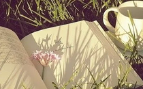 干部培训网教育培训有哪些内容