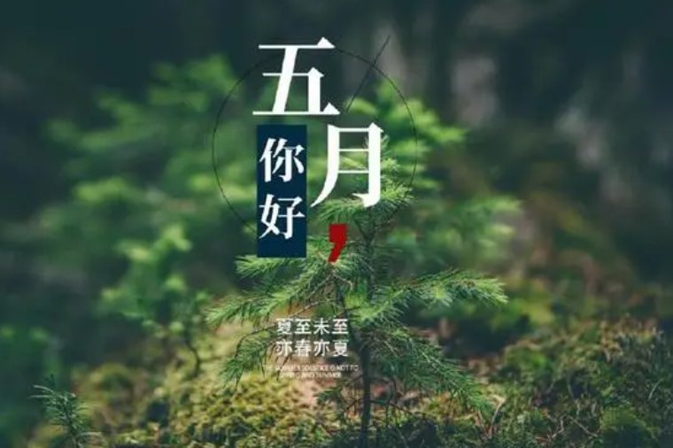 5月干部培训心得体会