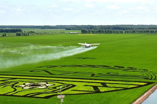 农业部干部教育培训在那些高校可以培训