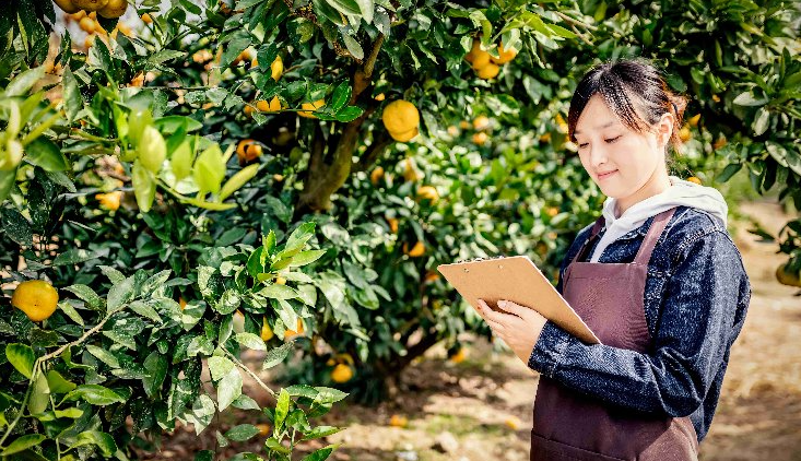 农业经理人专业能力培训课程内容