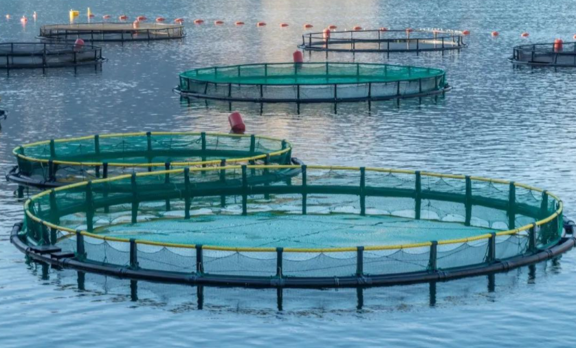 渔业系统专题培训课程内容有哪些