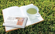 重庆中青年干部培训报名（中青年干部培训高校）