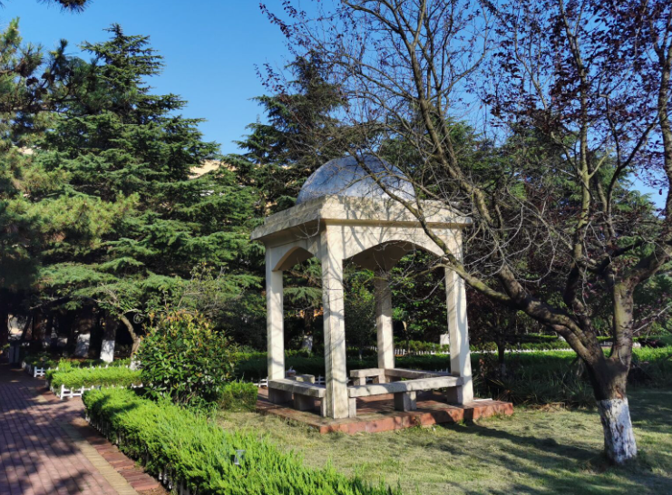 青岛大学企事业单位提供党政干部培训