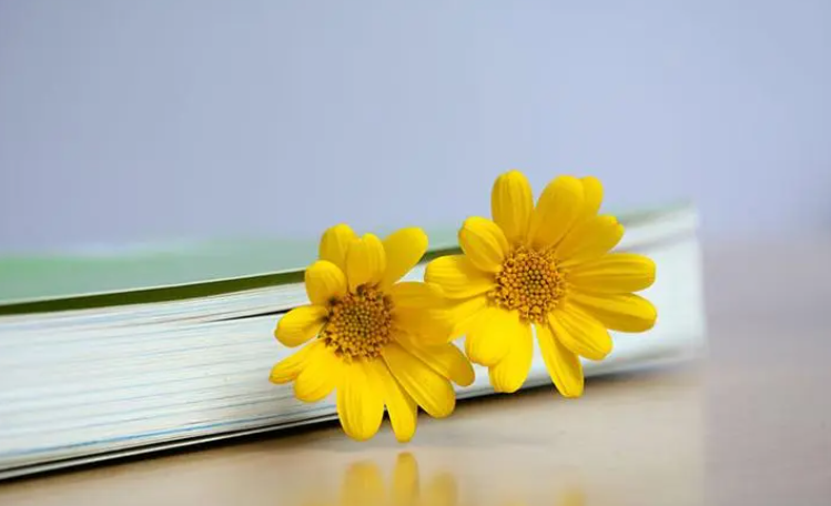 红色专题教育报名活动方案