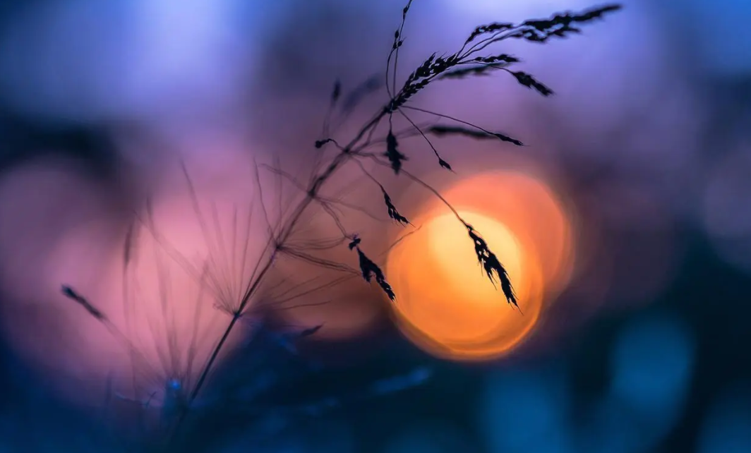 党务工作者培训班报名条件参加流程