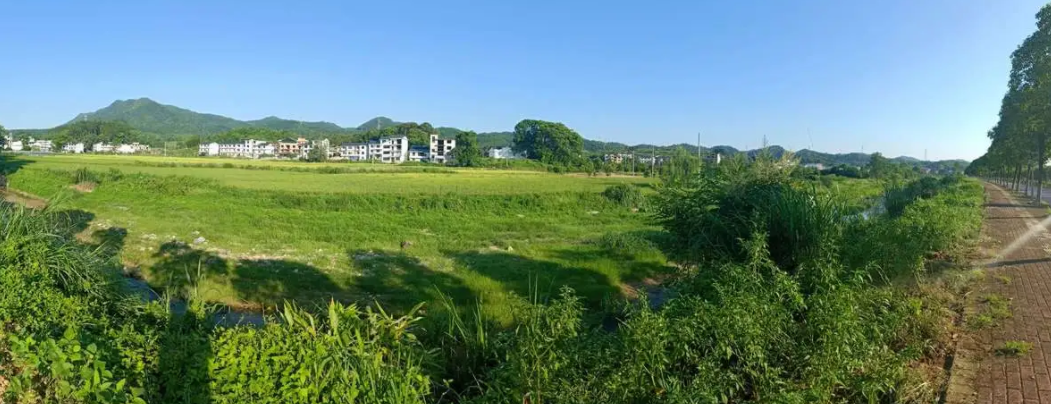 农村党支部书记抓党建促乡村培训班主要讲那些内容