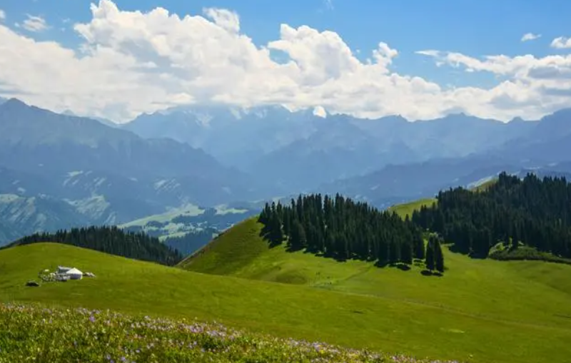 新疆干部培训网：培养优秀干部的在线学习平台