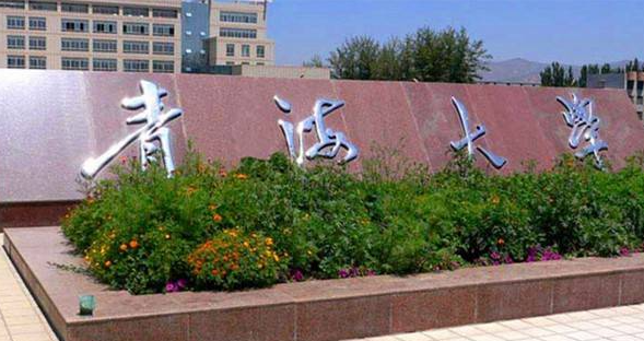 青海大学干部培训能力综合提升