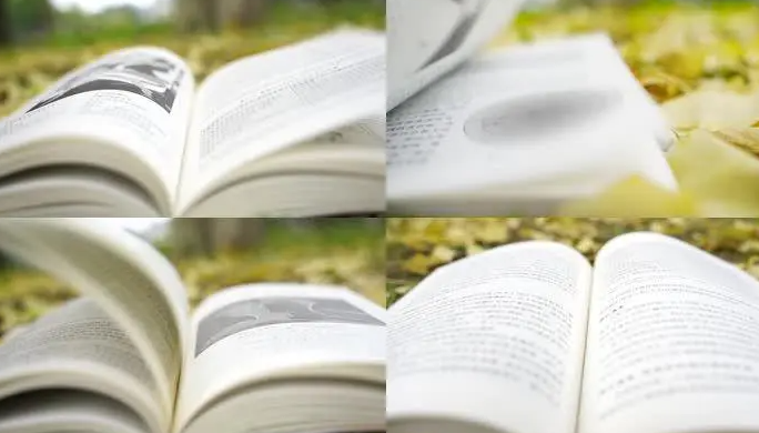 青岛干部培训费用标准（干部培训班质量费用标准）