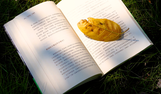 青岛组工干部培训专题：提升组织能力，引领发展前行