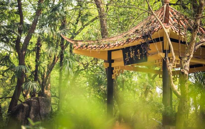 重庆可以参加基层干部培训的高校有哪些？