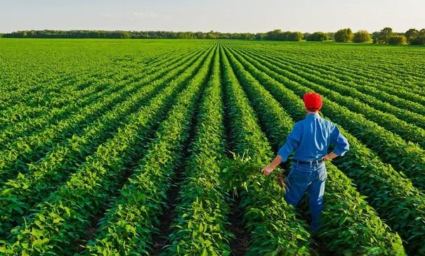 西安农业干部培训（提升农业管理技能，促进农业现代化发展）