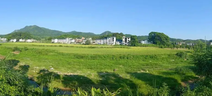 农业农村系统干部及业务骨干培训课程报名