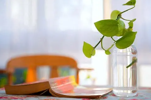 工会干部能力素质提升培训班