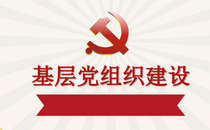 基层党组织小学理论学习培训方案