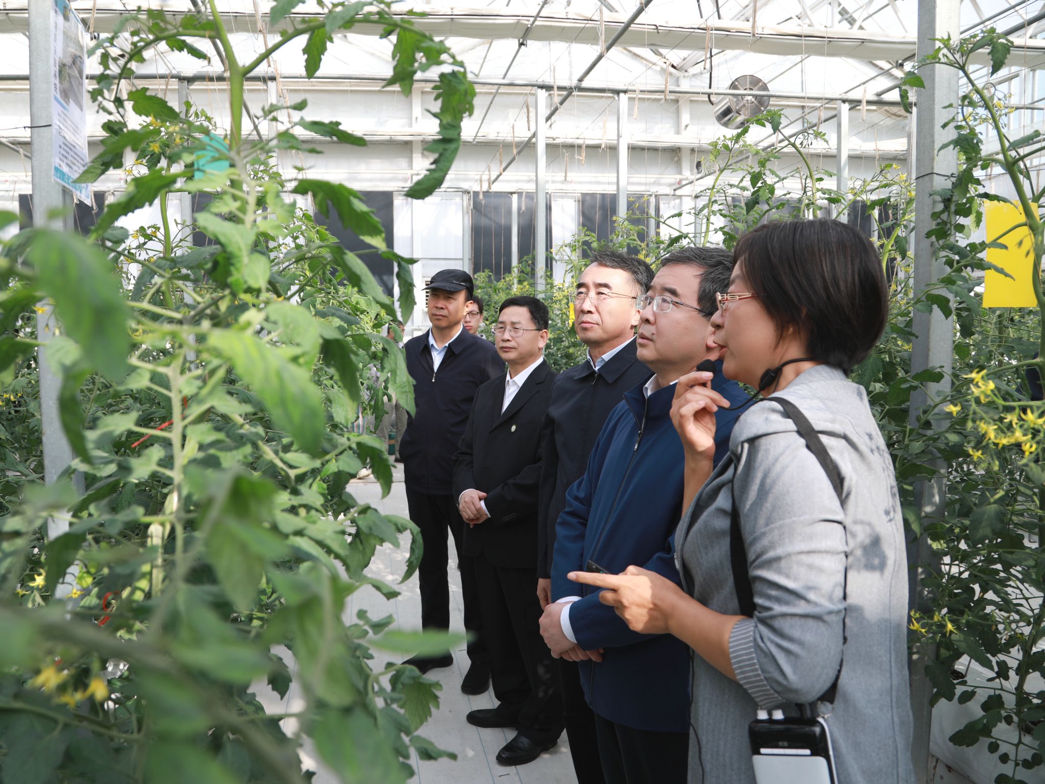 扎实推进都市农林学新兴交叉学科平台建设  为首都推进乡村振兴贡献“北农智慧”