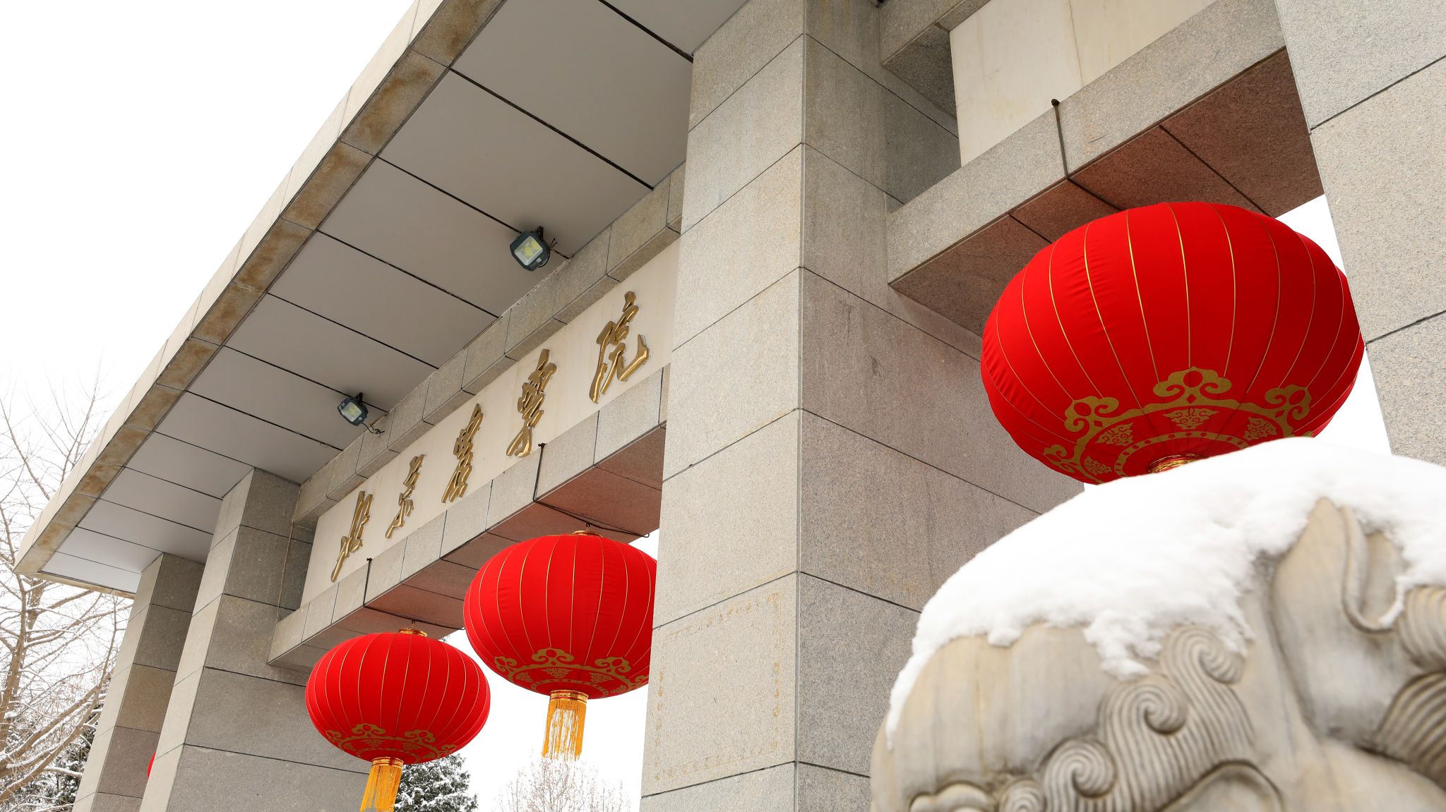 初春落雪成诗，北农盼你归来！
