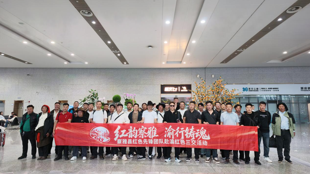 重庆市沙坪坝区法商教育培训学校